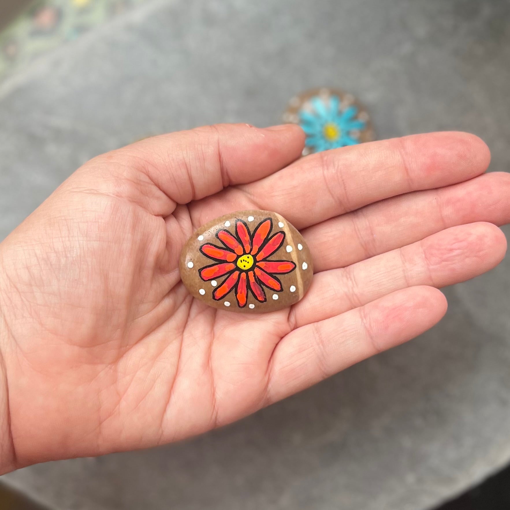 Colourful Daisy Flowers - Set of 5 Stones