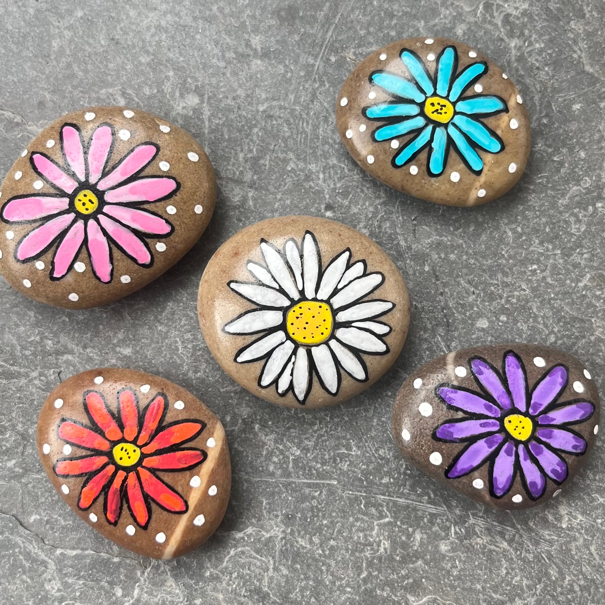 Colourful Daisy Flowers - Set of 5 Stones