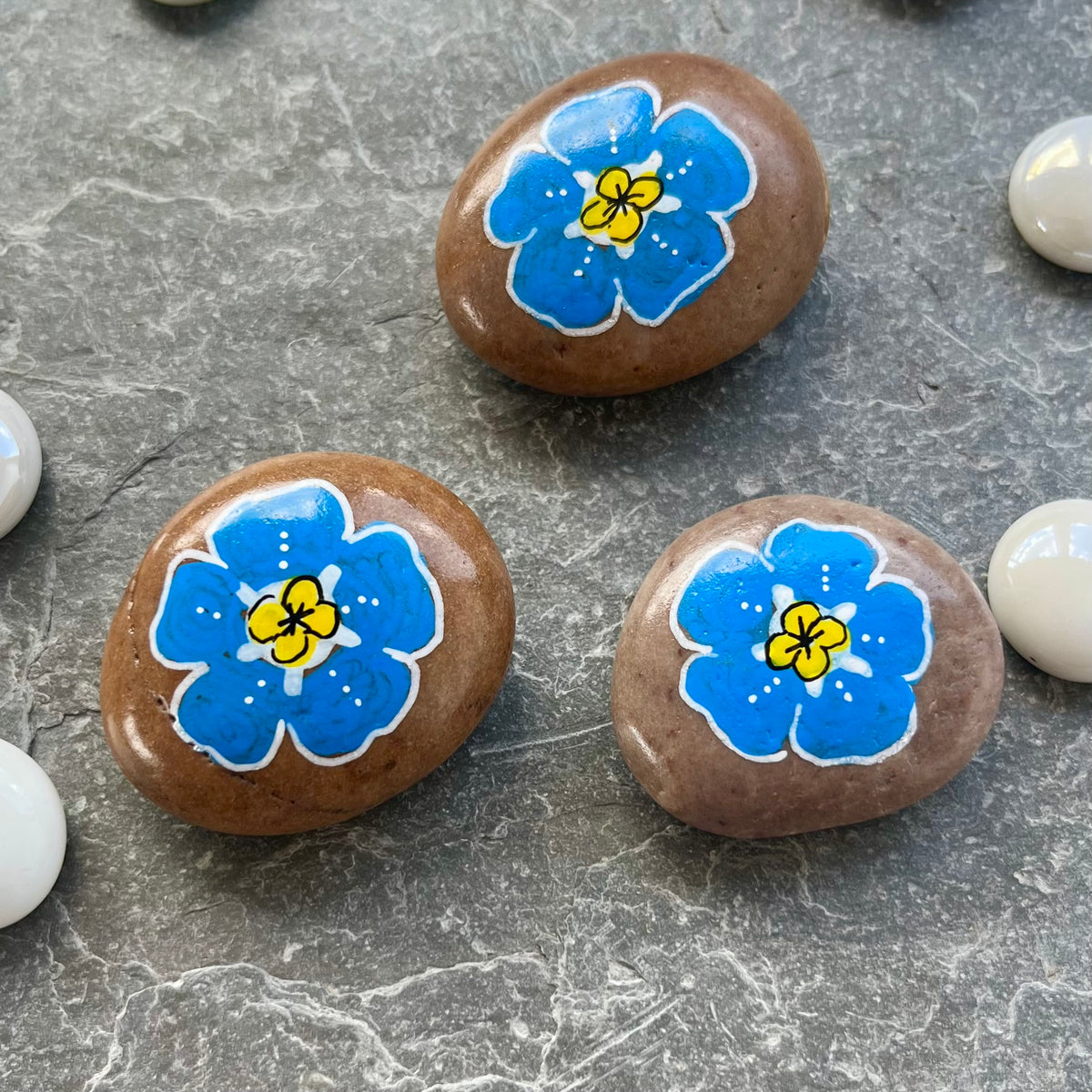 Forget Me Not Hand Painted Stone – Sympathy Keepsake Gift UK